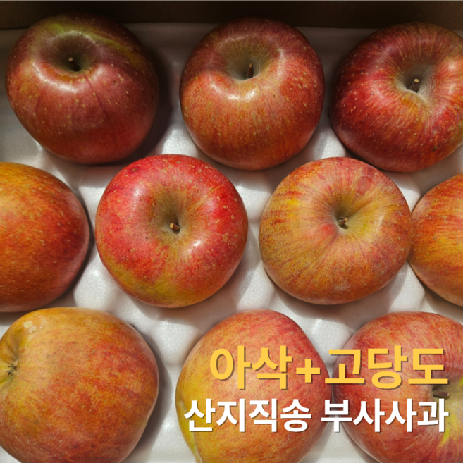 선한마켓 프리미엄 경북 부사 사과 산지직송 고당도, 1박스, 정품 중소과 부사 5kg