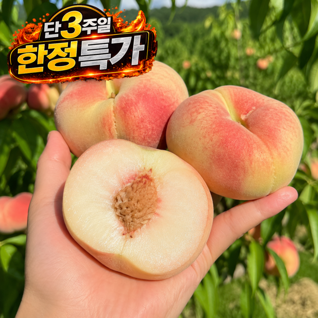 5위 - [딱3주간출하] 새벽경매 고당도 딱딱이 대극천복숭아, 1박스, 2kg