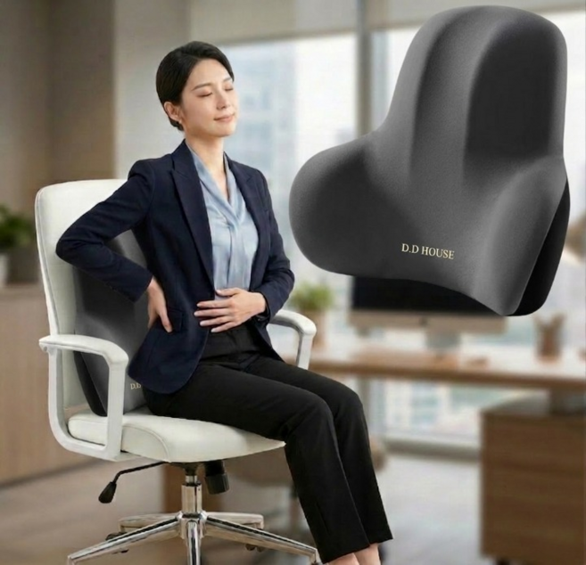 디디하우스 허리쿠션 의자허리쿠션 의자 등받이 쿠션 사무실 차량용 메모리폼 쿠션, 그레이
