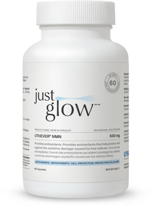 저스트글로우 NMN 500mg, 1개, 60정