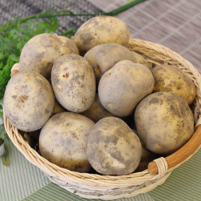 2025년 햇감자(중)20kg 1박스 자연대로팜웨이, 햇감자(중) 20kg, 20kg, 1개