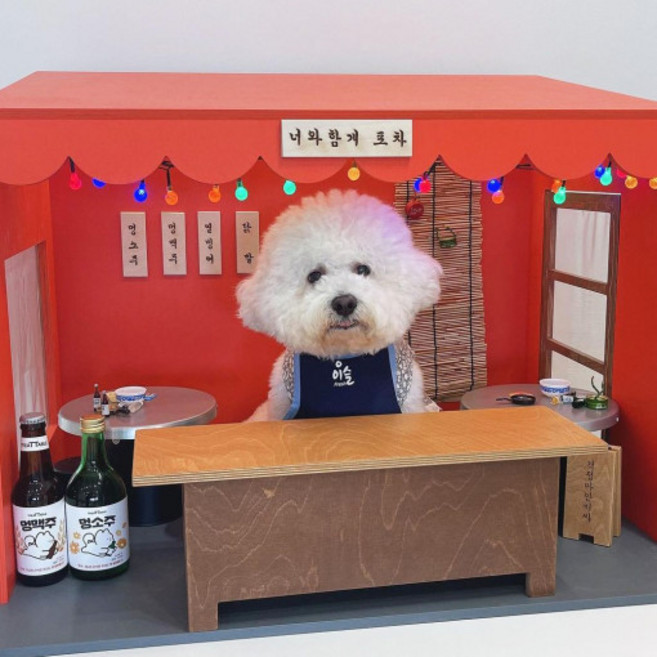 강아지 포토존 부스 포장마차 세트 애견카페 수제간식, 1개