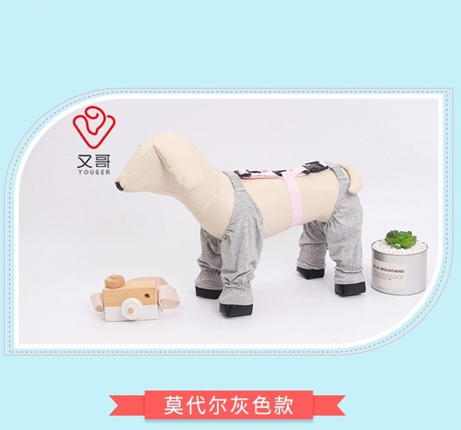 강아지산책옷 진드기방지 반려견 비숑 방수 외출복, 모달 그레이, L