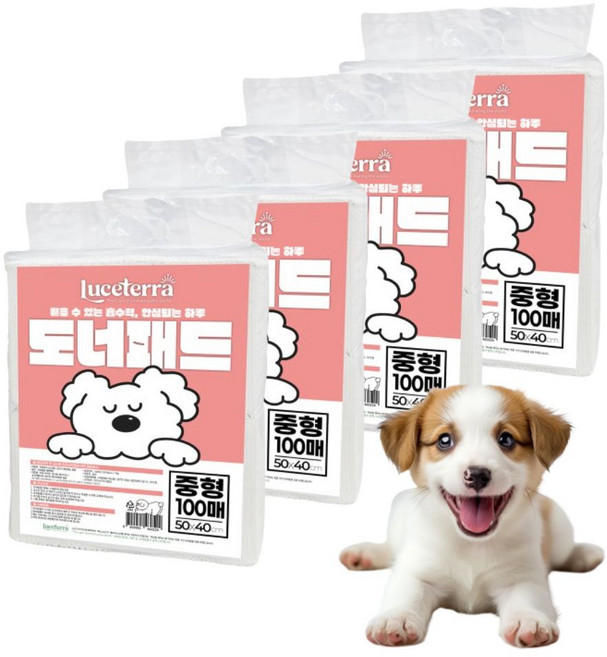 (동물병원추천 신제품) 루쎄테라 도너패드 강아지 가성비 실속형 배변패드 흡수력 새지않는 애견패드, 4개, 100개입