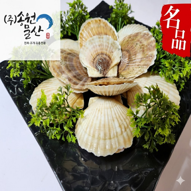 [활수산] 왕가리비 대왕가리비 생물1kg (7~10미) 캠핑용조개구이 찜용, 1개, 1kg