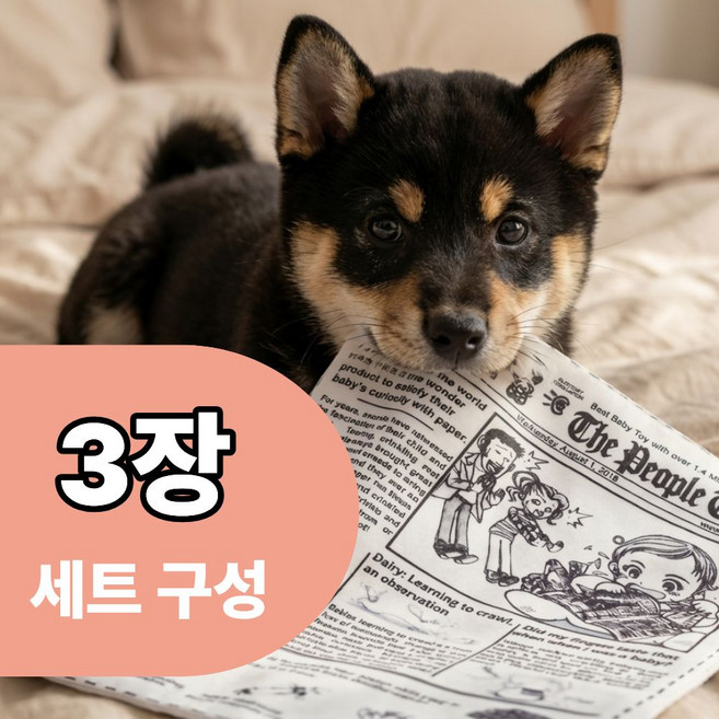 홈닛 강아지 바스락 소리나는 신문 장난감, 3개, 화이트