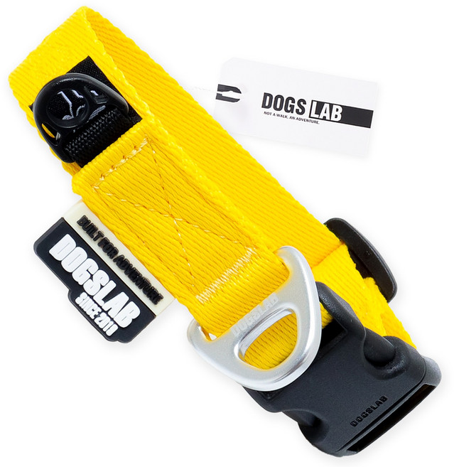 독스랩 강아지 목줄 클래식, 1개, 단델리온 옐로우