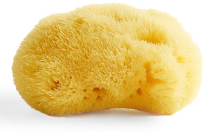 그리스산 룰라러브 천연해면 스폰지 뷰티 세안 미디움 (6~7cm), 1개, 옐로우