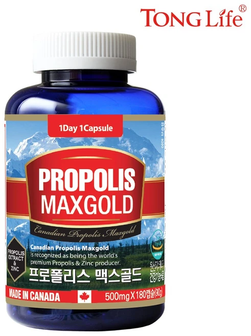 통라이프 항산화 프로폴리스 맥스골드 6개월 90g, 180정, 1개 - 쿠팡