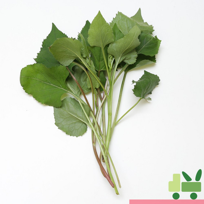 사라상회 취나물 4kg, 1개