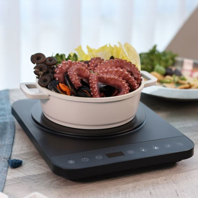 키친아트 1구 미니 인덕션 소형 전기레인지 터치식 전기버너 KI-5005B SF, 일반형