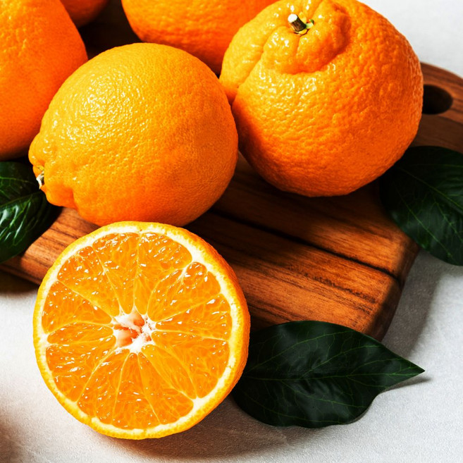 고당도 제주 서귀포 한라봉, 1박스, 한라봉 10kg (랜덤과)소/중/대