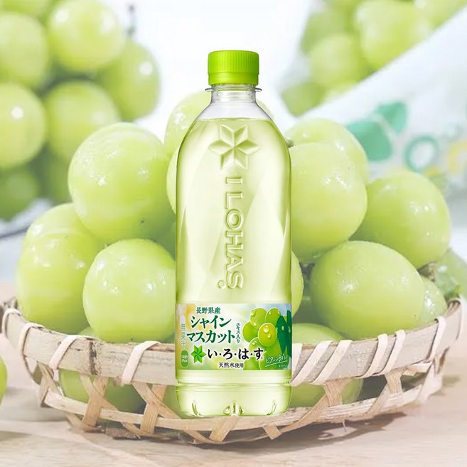코카콜라 이로하스 워터 투명한 과실수 과일맛 샤인머스캣, 6개, 540ml