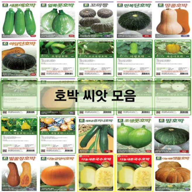 영미의정원 호박 씨앗/새론애호박/얼룩풋호박/꼬마짱단호박/만복단호박/땅콩호박/아담단호박/초생달호박/모조유방호박/아령호박/복숭아호박/황관녹백무늬호박/미국장원슈퍼호박/금매달호박/, 19.다농-조생풋호박 30립, 1개
