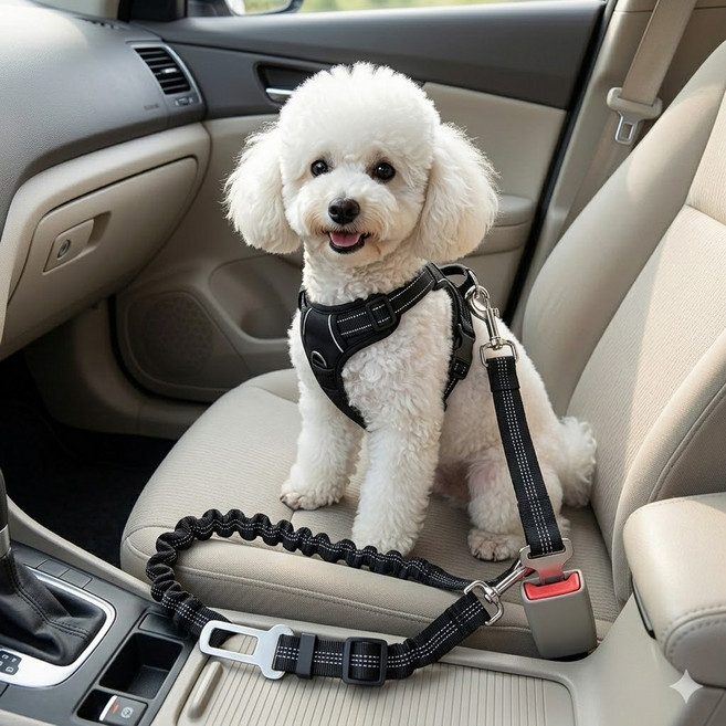 퍼룸 강아지 안전벨트 충격방지 차량용 애견 고탄력 튼튼한 벨트, 1개