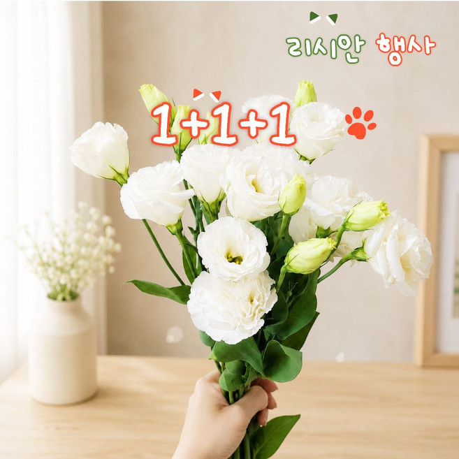 리씨에 리시안셔스 생화 꽃다발 꽃선물 1+1+1 랜덤추가, 1개, [행사]리시안셔스1+1+1(화이트+랜덤+랜덤)