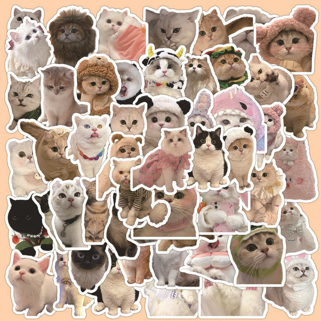 걸스코코 63장세트 고양이 스티커 노트북 캐리어 귀여운 조각스티커 PVC 스티커팩, 혼합색상, 1세트