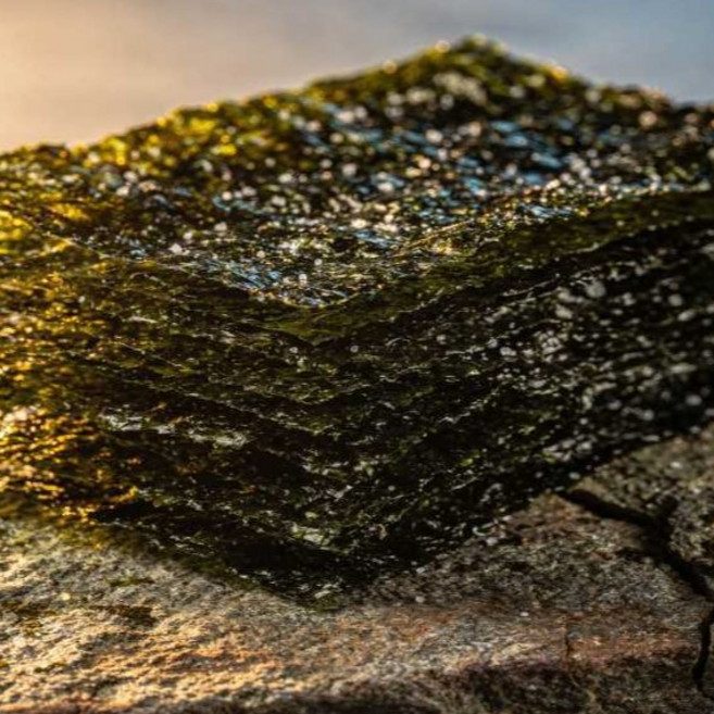 손김 맥반석 즉석 구이김, 5개, 30g