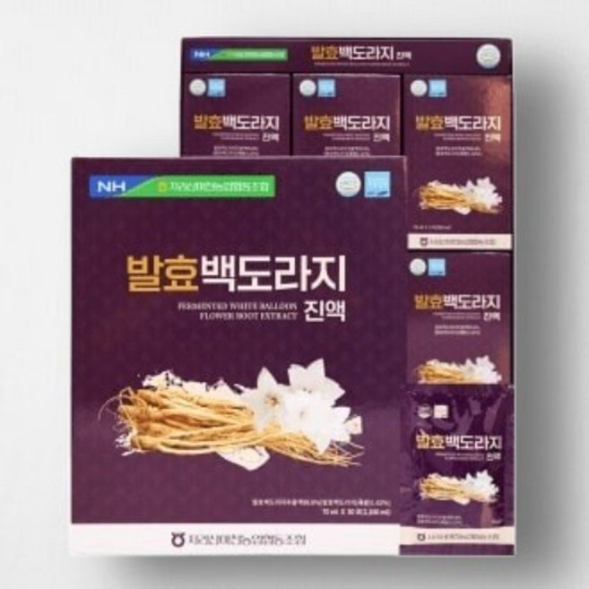지리산마천농협 발효 백도라지진액, 1박스, 2.1L