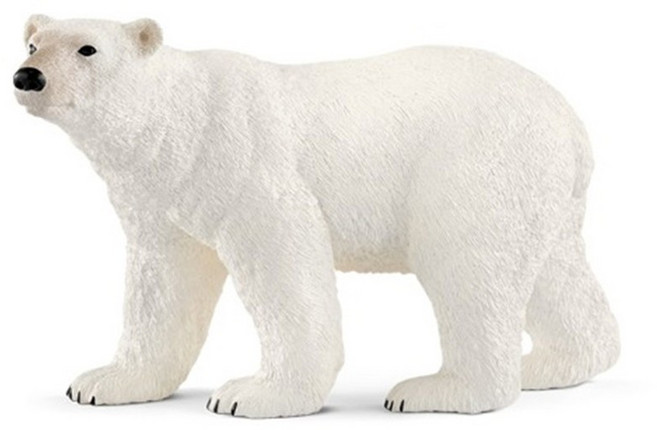 초등 자연과학 야생 동물피규어 생태학습교구 모형완구 자연학습 농장놀이용 보육기관, 1개