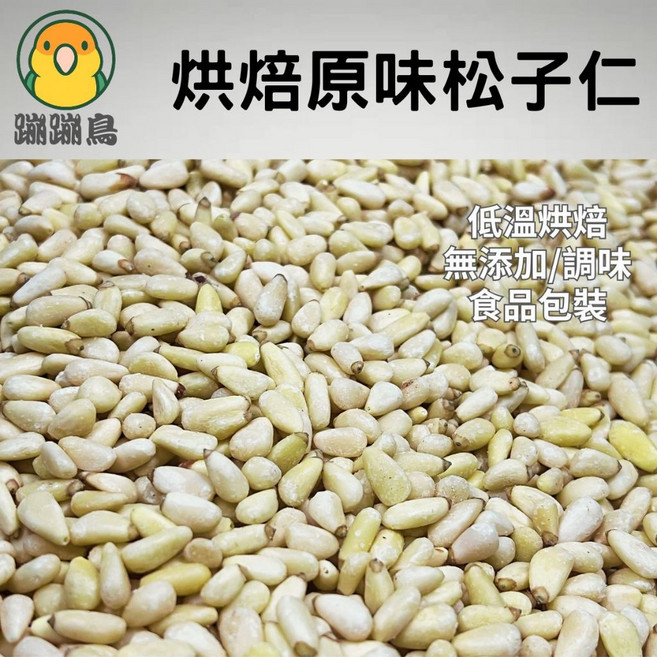 蹦蹦鳥 烘焙原味松子仁 (大顆) 低溫烘焙 無調味 鸚鵡/蜜袋鼯, 1個, 100g