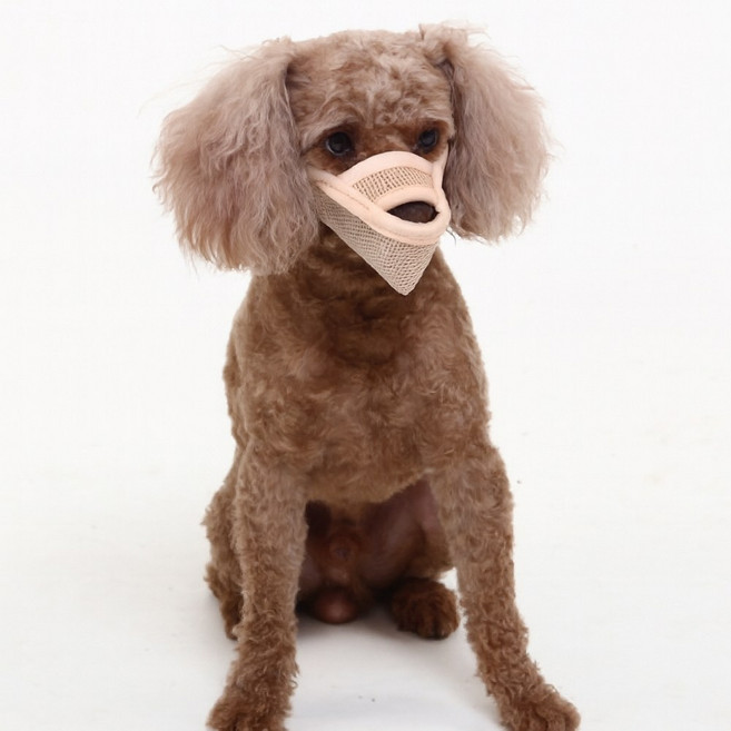 시원한 강아지 메쉬 입마개 마스크 소형견 중대형견, 베이지