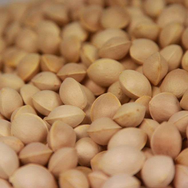 국내산 최상급 25년 피은행 대사이즈, 1박스, 3kg