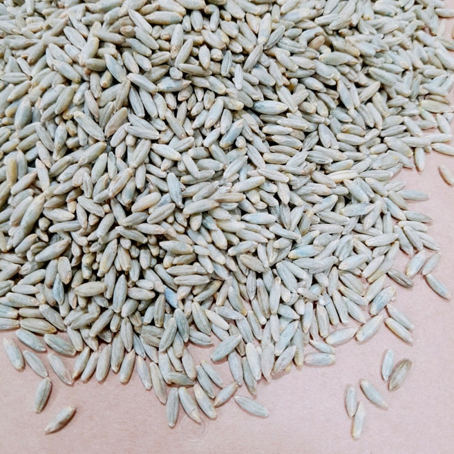 50년전통대현상회 호밀 1kg 프리미엄잡곡, 1개