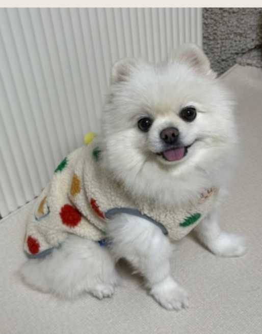 치즈쿠키 반려동물 소중형견 대형견 겨울 양털 후리스 뽀글이 조끼, 1개, 베이지