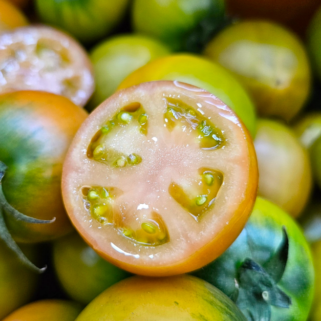 한정특가 단짠끝판왕 산지직송 특품 짭짤이토마토, 1박스, 1kg