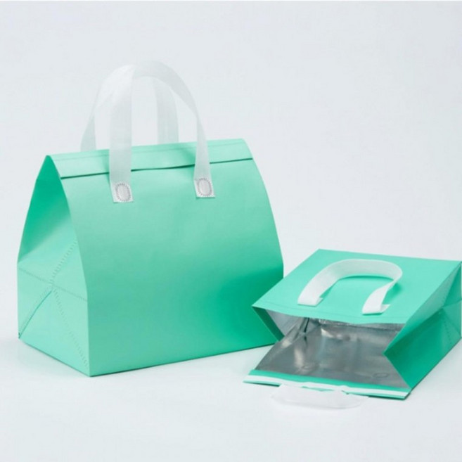 1개 민트 27x28 부직포 보냉가방 보온백 일회용 종이 jja*3313sG, 중(27x28x16cm)