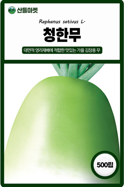 다농 청한무 씨앗 500립 가을 김장무씨 종자, 1개