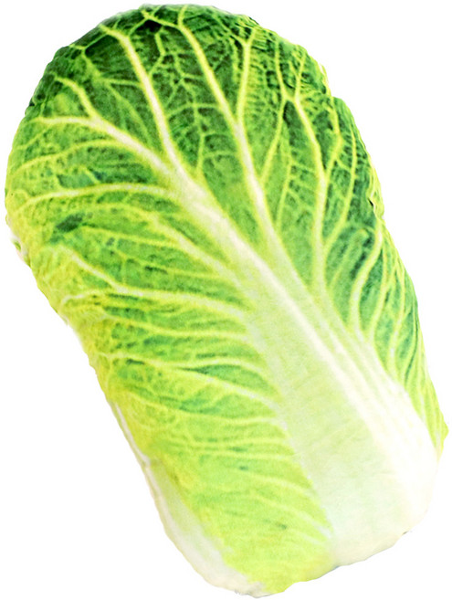 배추 쿠션 50cm 야채 채소 모양 베개, 혼합색상