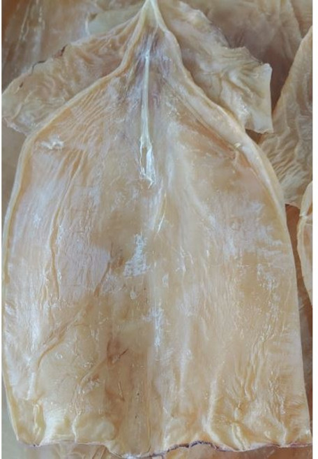 아름건어물 몸통오징어 500g, 1개, 500