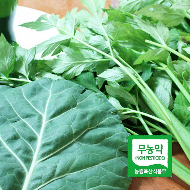 직거래농민장터 친환경 무농약 케일 신선초 녹즙용, 1박스, 1_무농약 케일 2봉지(총1.1kg)