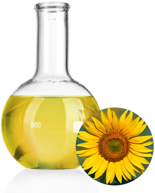 해바라기오일[정제], 1L, 1개