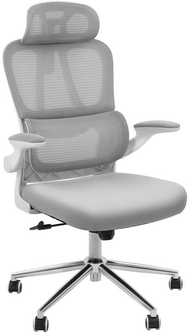 FlexiSpot 사무용의자 OC6 편안한 천연 스펀지 최저높이 40.5cm 최대하중122KG 금속프레임 요추보호 컴퓨터의자, 그레이