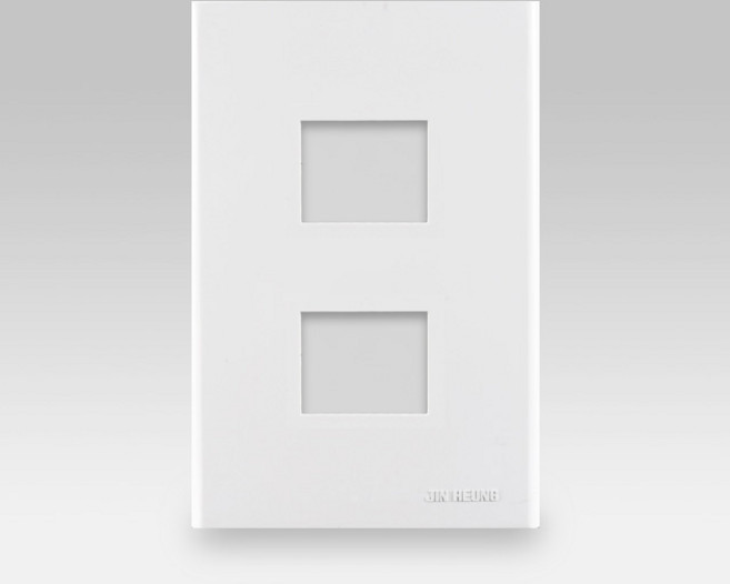 국산 진흥전기 플레이트 2구 1개용 IN, 1개