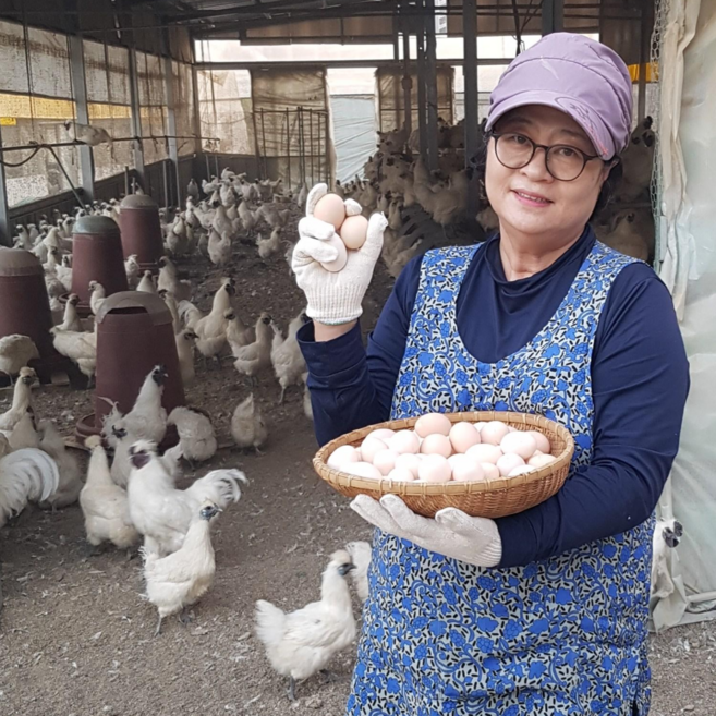 난각번호 1번 자연방사 백봉오골계 유정란 60알, 10구, 6개