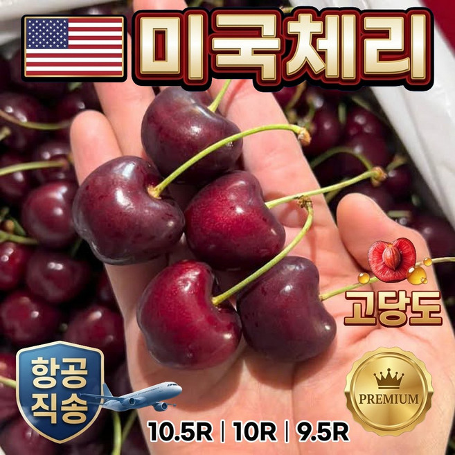 캘리포니아 항공직송 고당도생체리 캘리포니아 생 체리9.5-10R, 1개, 생 체리 500g (9-9.5R) 특대과