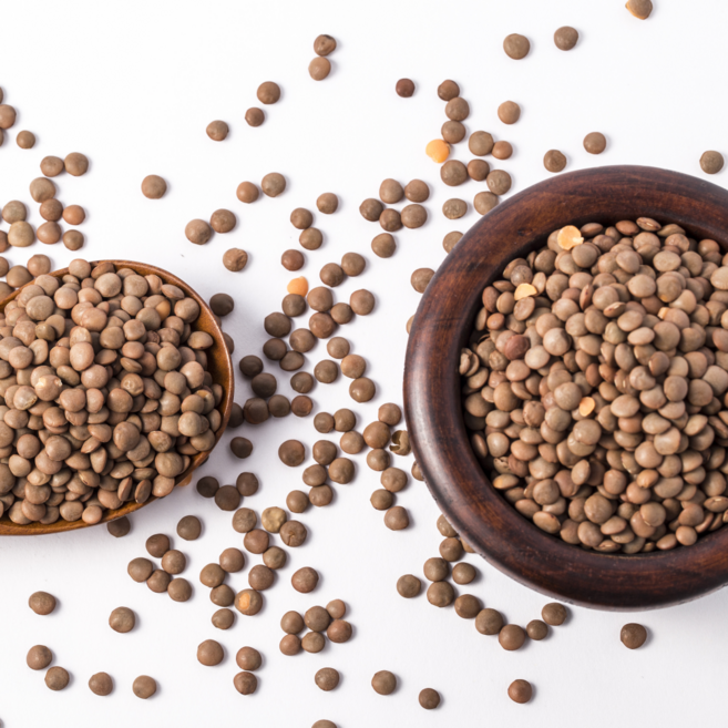 브라운 갈색렌틸콩 10kg 캐나다산 햇곡 잡곡 슈퍼푸드, 2개, 5kg