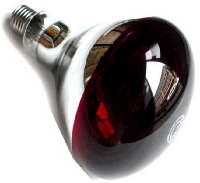 닭장보온 보온전구 적외선전구 병아리키우기 병아리집, 적외선눈부심방지고급전구250W, 1개