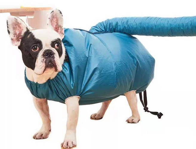 고양이 펫 강아지 애완 동물 애견 털건조 건조기 드라이어 룸 S M L XL