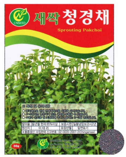 (영농사) <새싹 청경채 씨앗 30g> 청경채씨, 10개