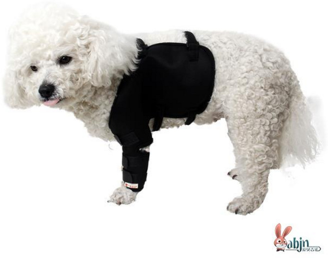 LongFatoys 강아지 슬개골탈구 고관절탈구 십자인대 관절 슬개골보정 밴드 깁스 강이지슬개골보호대, 1개, 왼쪽 앞다리