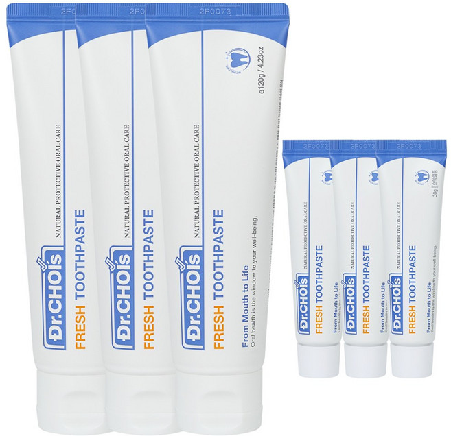 닥터초이스 좋은치약 프레쉬 본품 3개입 여행용 3개입, 450g, 1세트