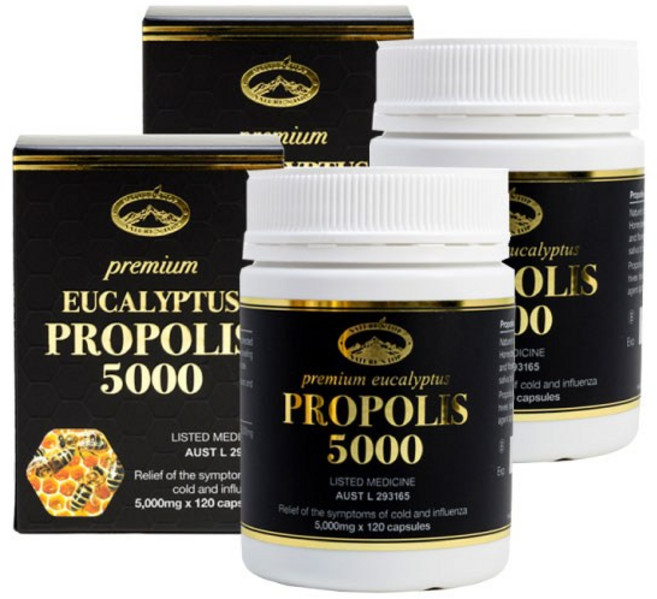 네이쳐스탑 네이쳐스탑 프로폴리스 5000MG 120캡슐X2 [NT-PP5000], 120정, 2개