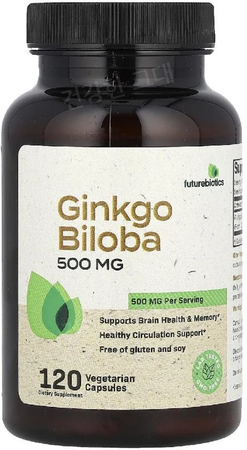 퓨처바이오틱스 징코빌로바 은행나무잎추출물 500mg 120캡슐 GinkgoBiloba, 1개, 120정 - 쿠팡