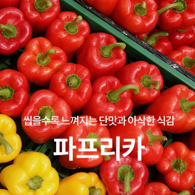 산지직송 국내산 파프리카 랜덤색상 신선배송, 1개, 1kg