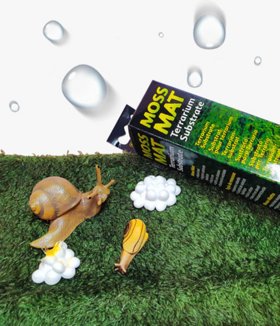 미니 엑소테라 모스매트 성체 달팽이 바닥재 거북이 도마뱀 인조매트, 엑소테라 모스매트 미니, 1개